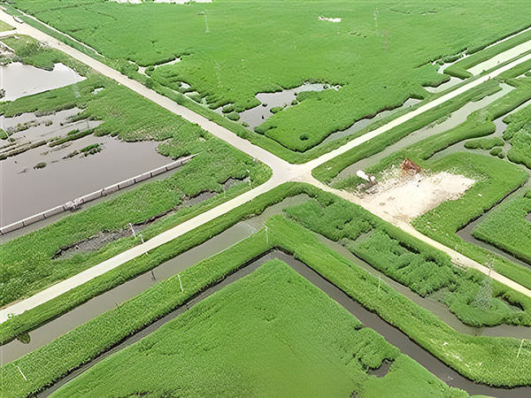 打造綠色低碳油田 做綠色發展的“頂樑柱”